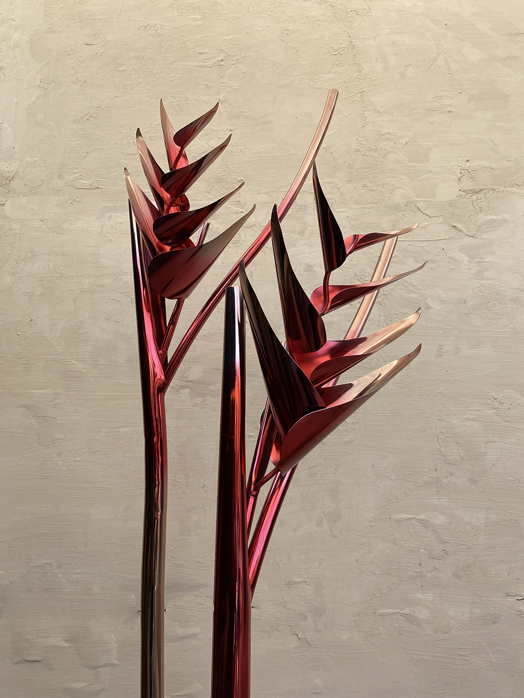 Heliconia