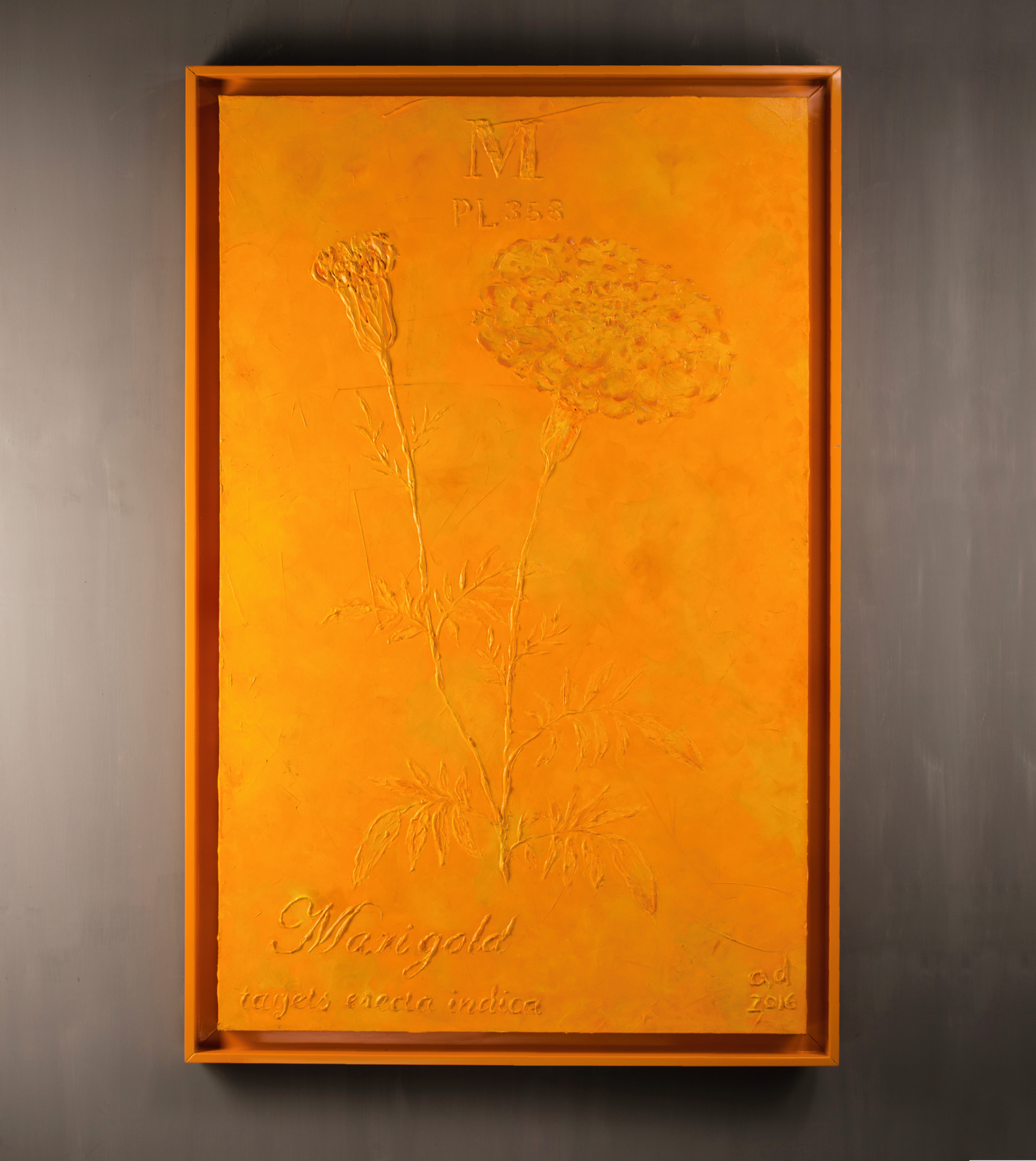 Marigold