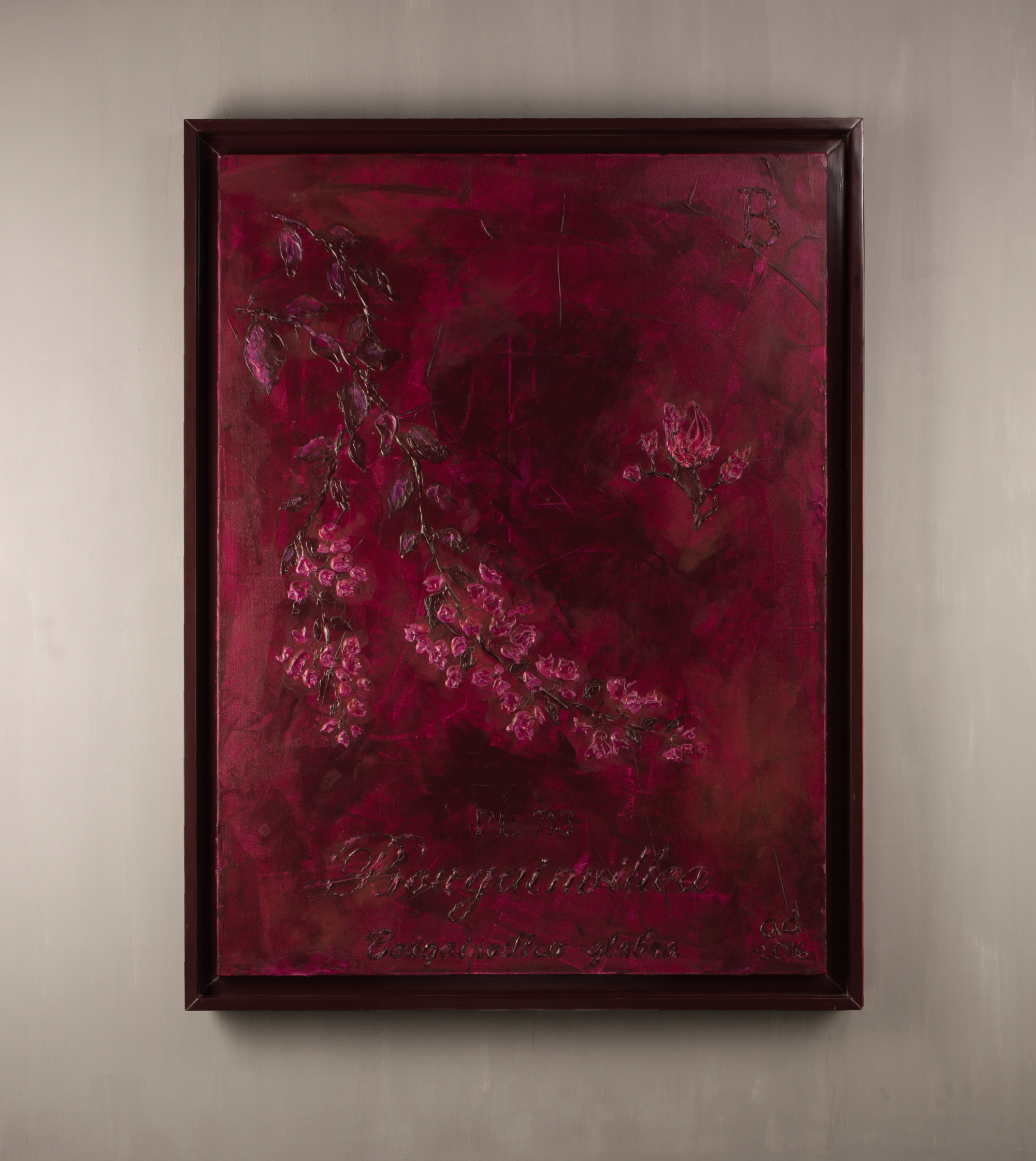 Bougainvillea