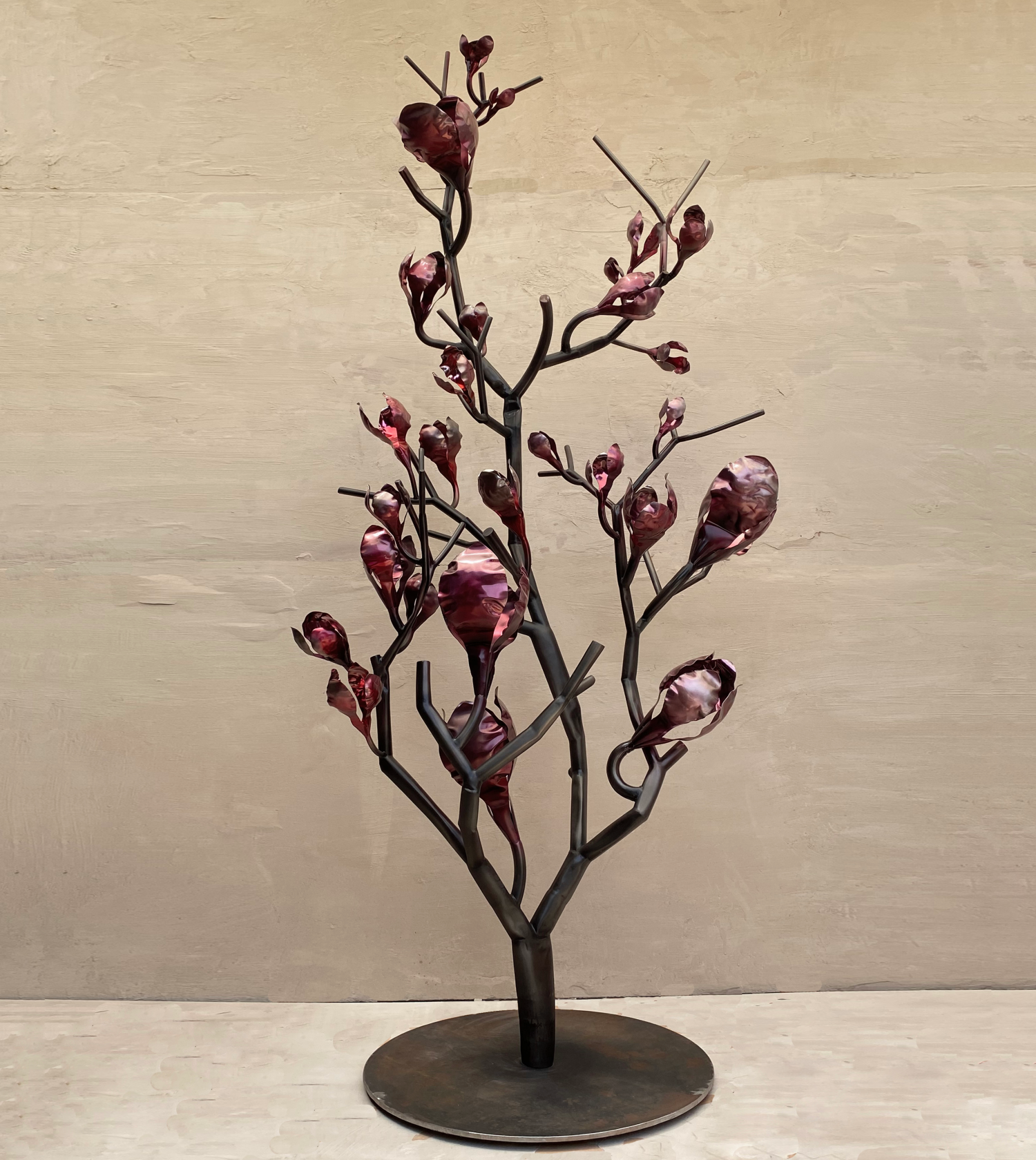 Magnolia