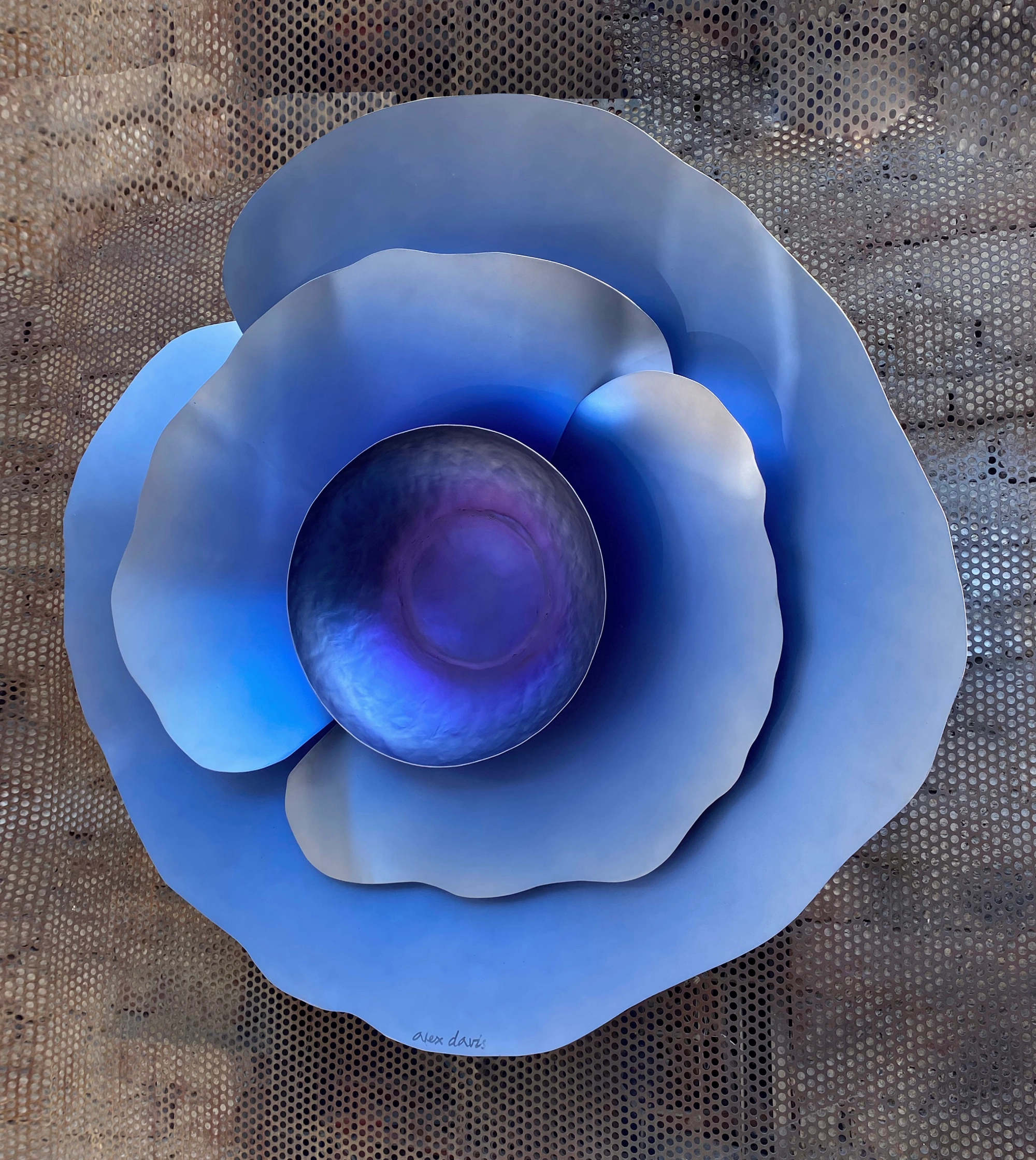 Poppy Blue