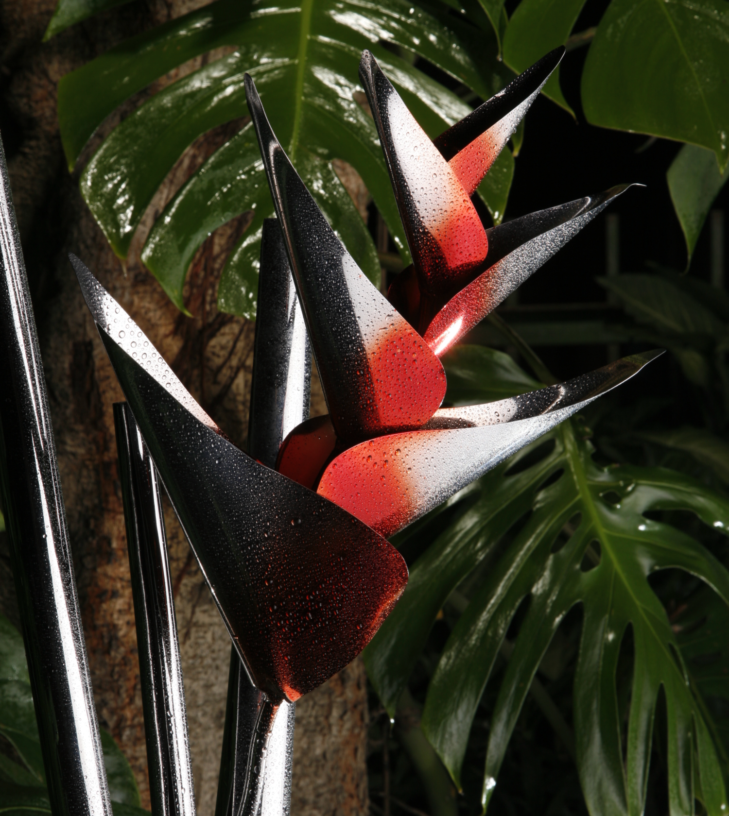 Heleconia Detail