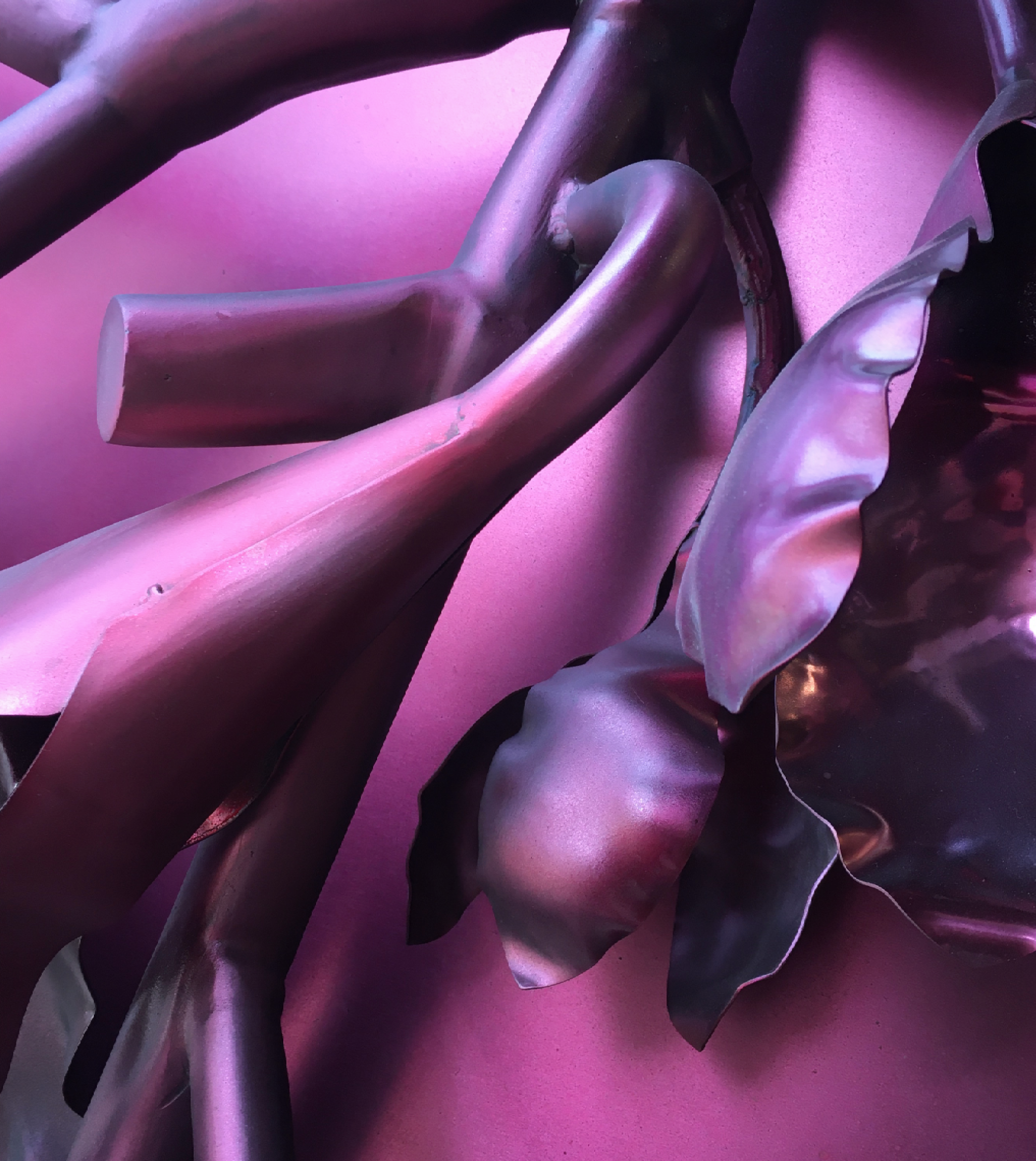 Magnolia Detail