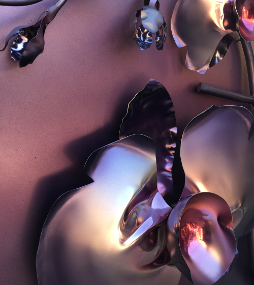 Orchid Detail