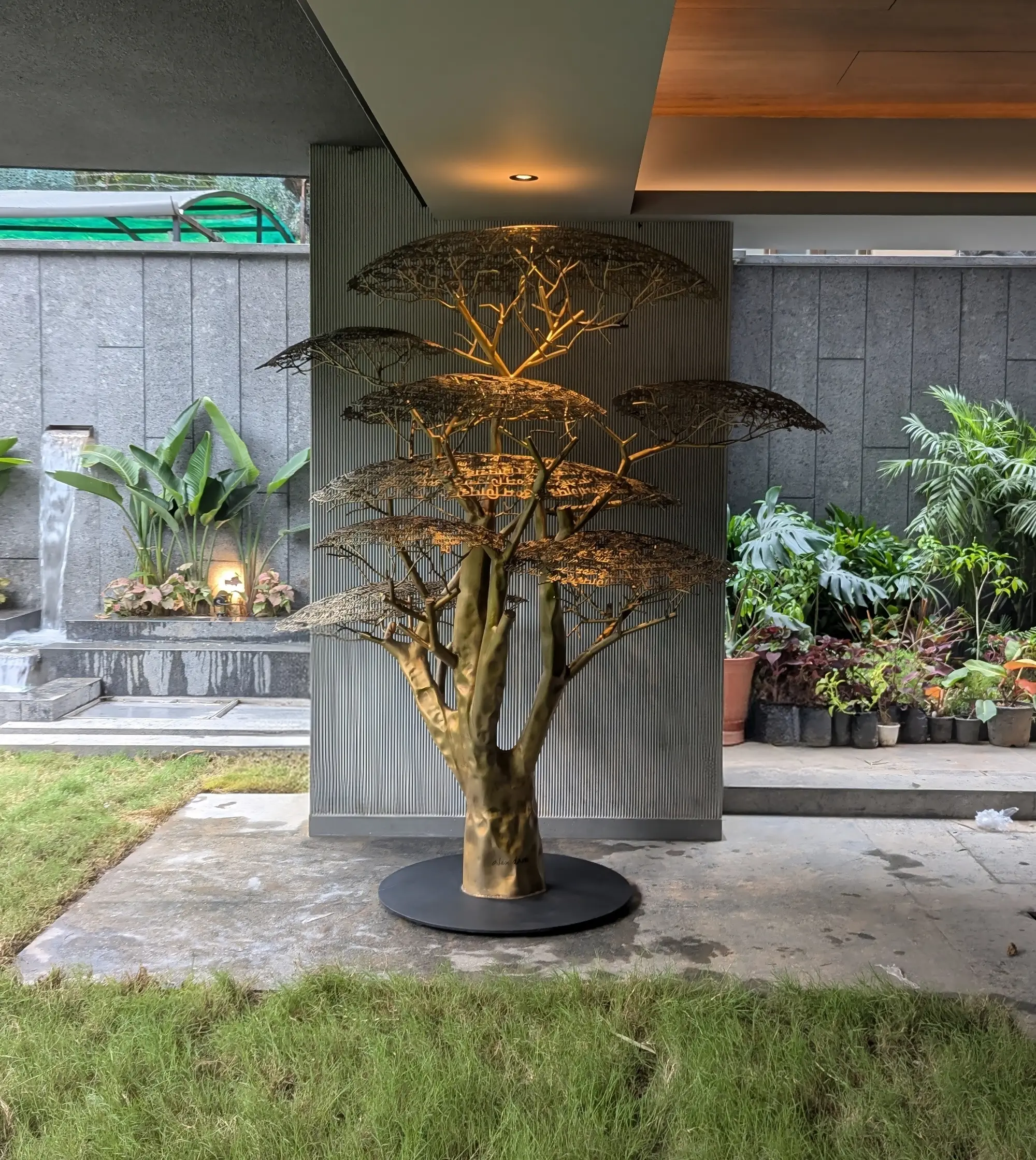 Wisdom Tree