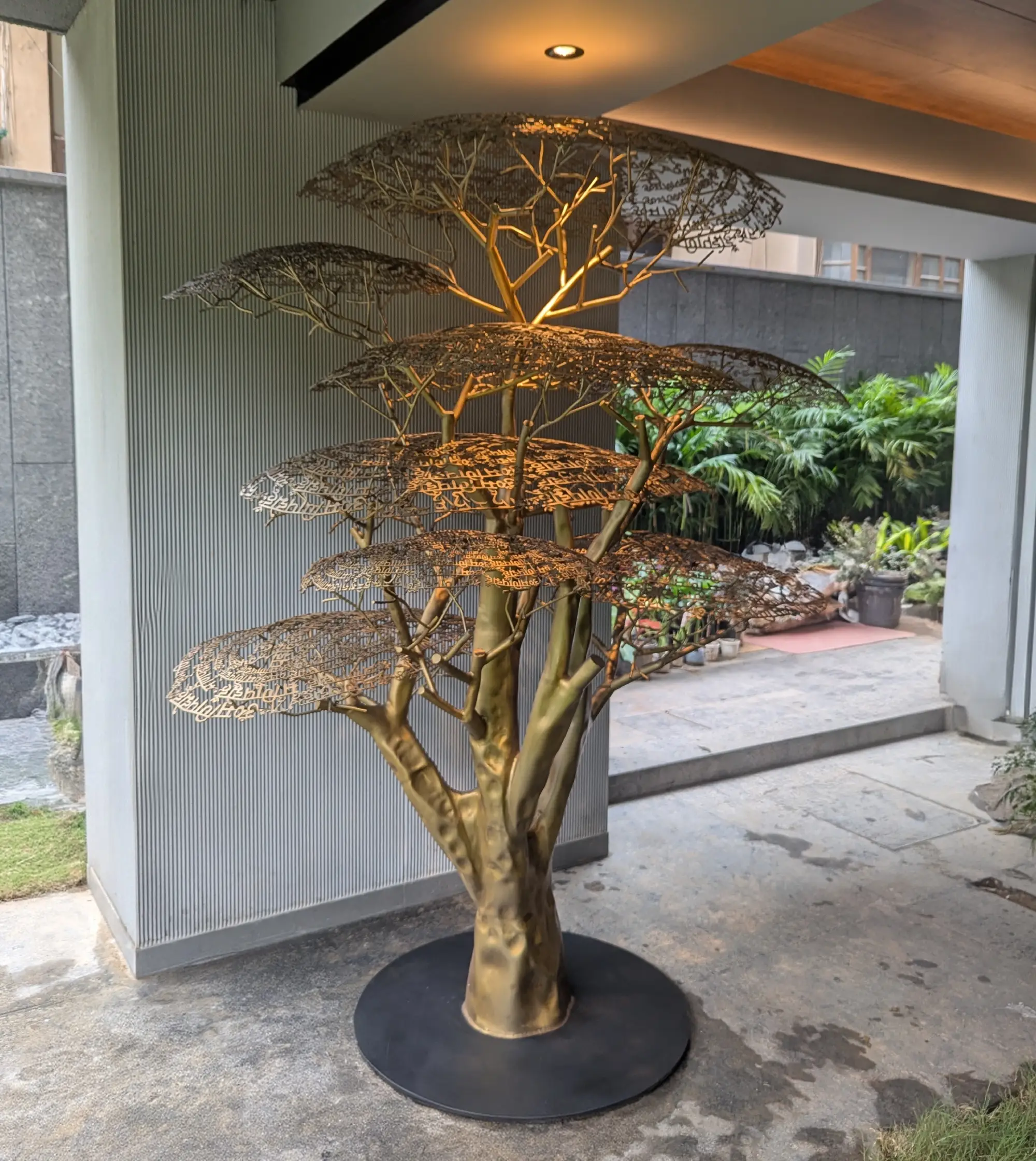 Wisdom Tree