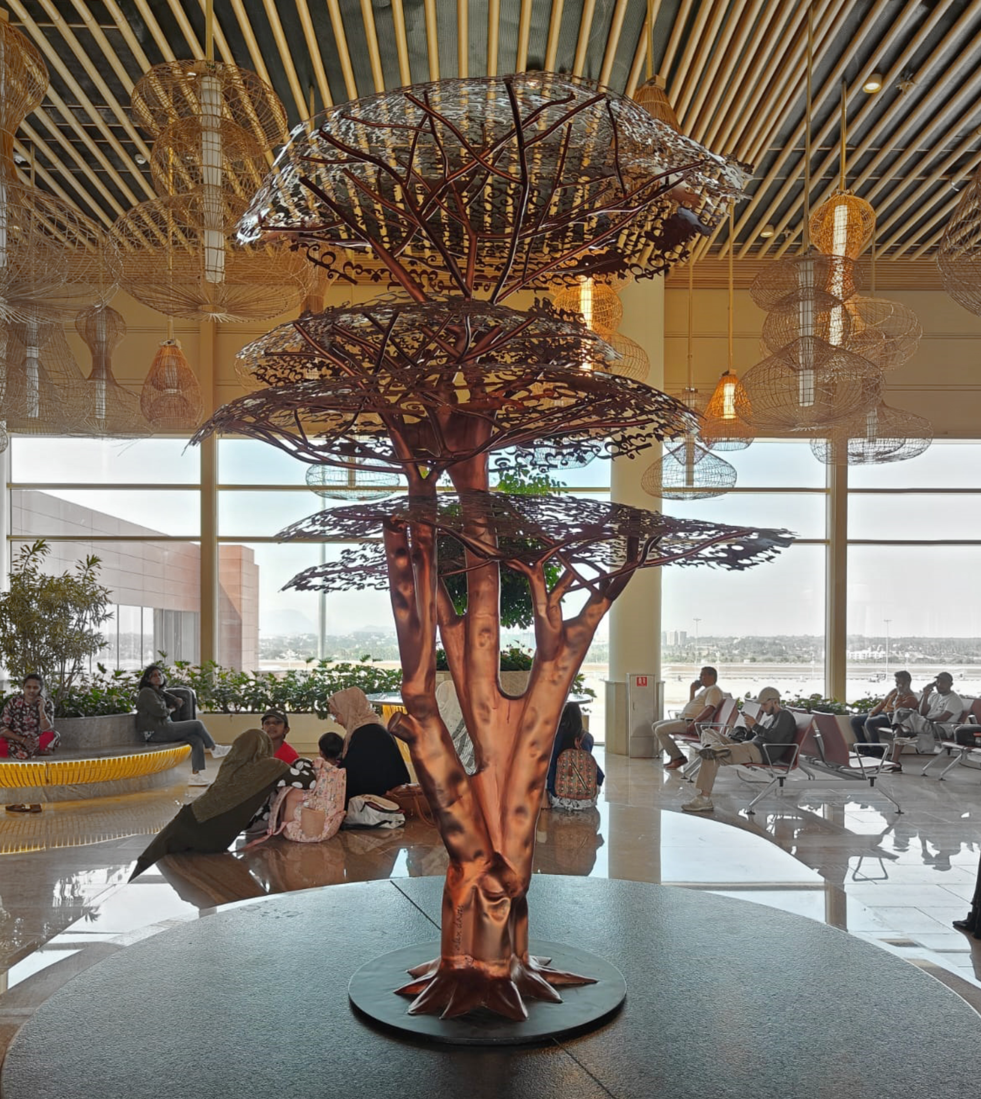 Wisdom Tree