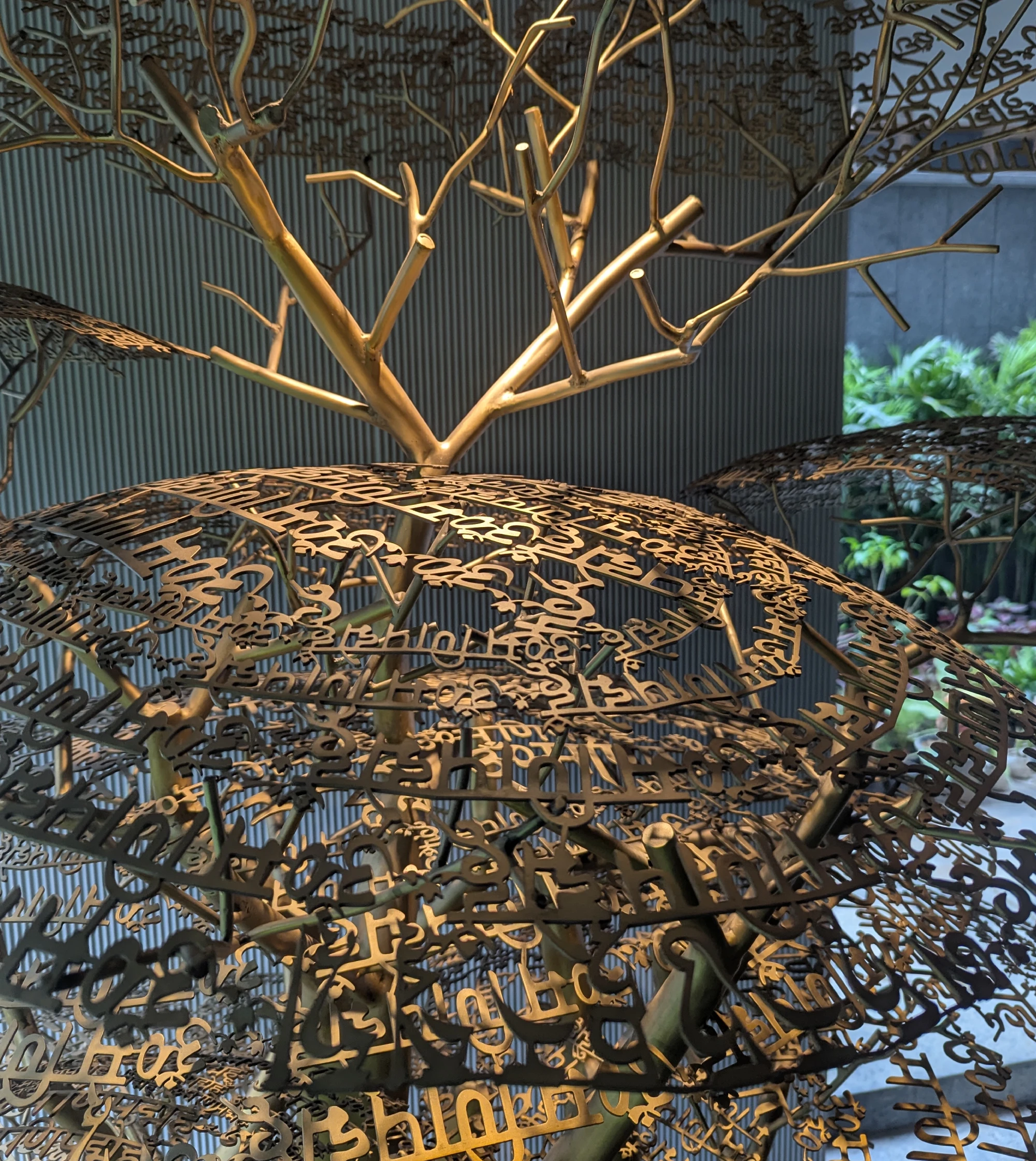 Wisdom Tree